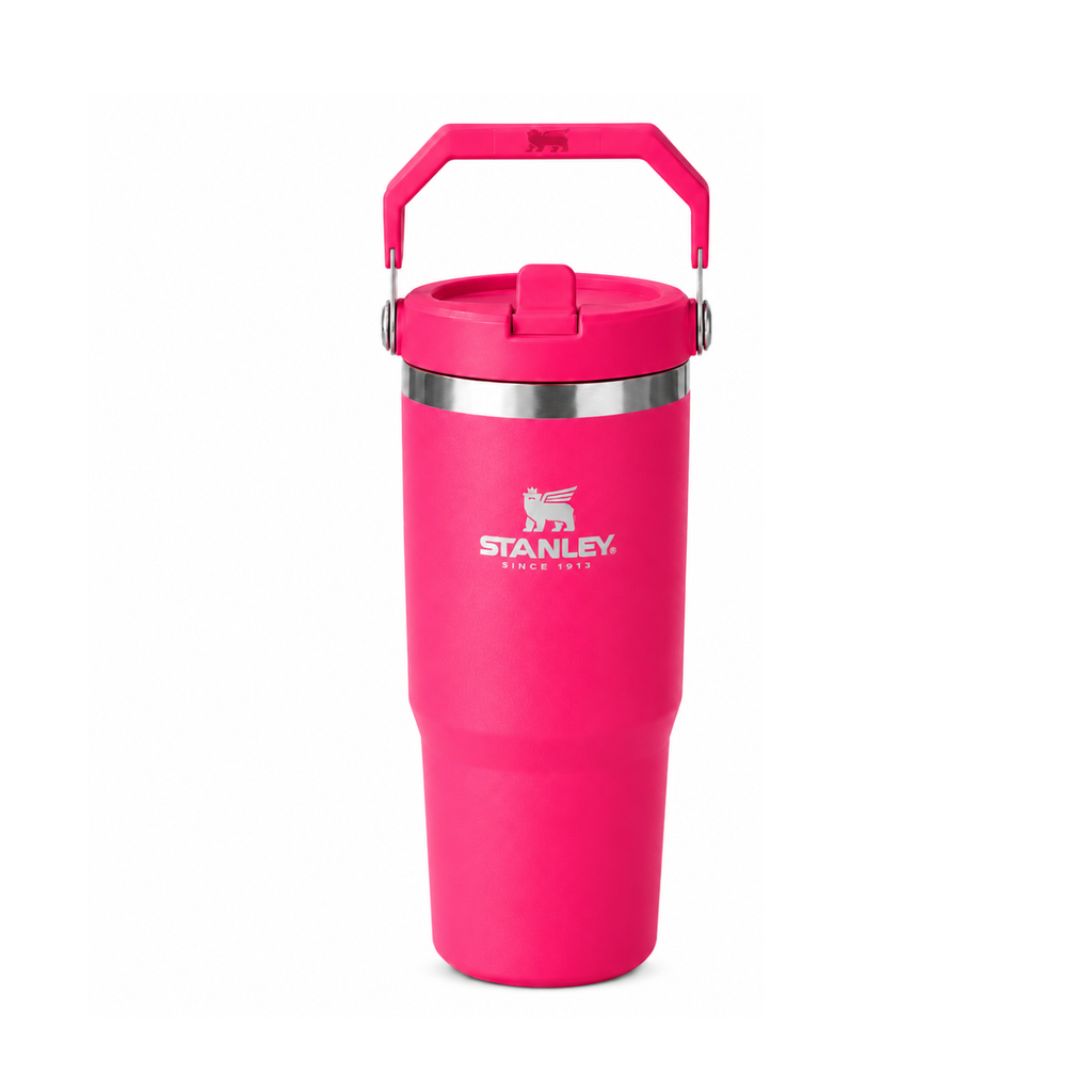 Stanley IceFlow Flip Straw Tumbler 30oz (0.88L) – Stainless Steel Insulated Water Bottle with Handle