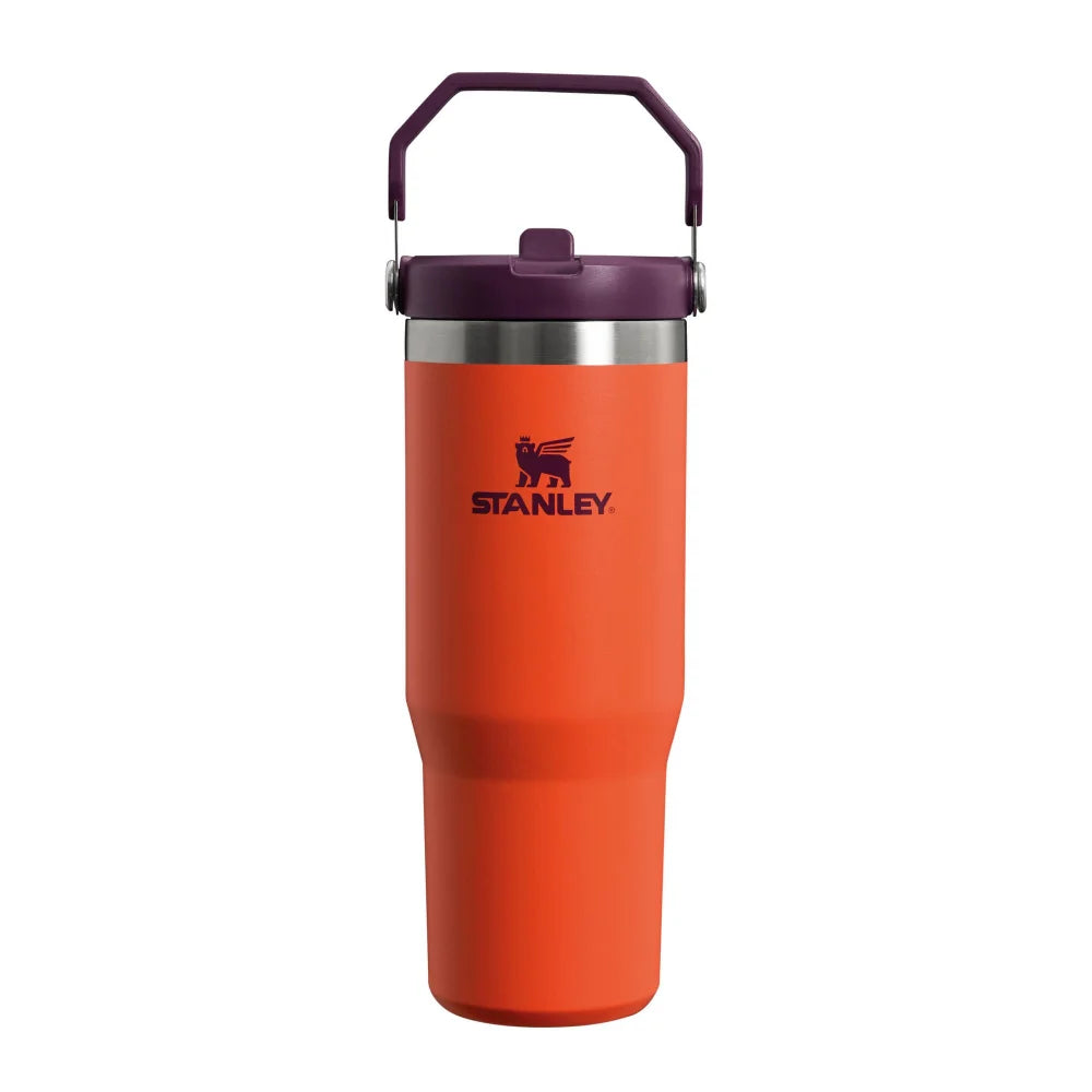 The Iceflow™ Flip Straw Tumbler | 0.89L